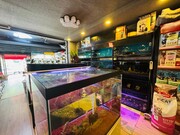 Коммерческая недвижимость 250м² 10 