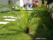 Продажа квартиры 2+1 3 