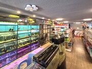 Коммерческая недвижимость 250м² 13 