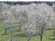 Продажа дома 100м² 3 