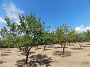 Продажа дома 100м² 9 