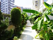 Продажа квартиры 1+1 6 