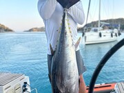 Аренда коммерческой недвижимости 11 