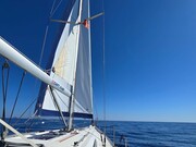 Аренда коммерческой недвижимости 13 